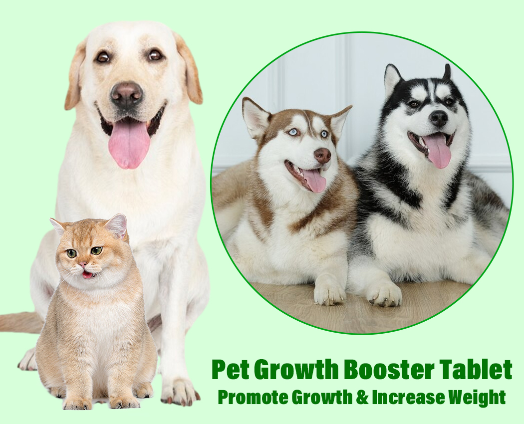 High Protein All-in-One Pet Health Food Supplement Delicious Chewable Chubby Pet Care Dog Weight Gainer Supplement