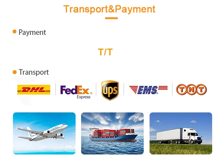 Transport and Payment