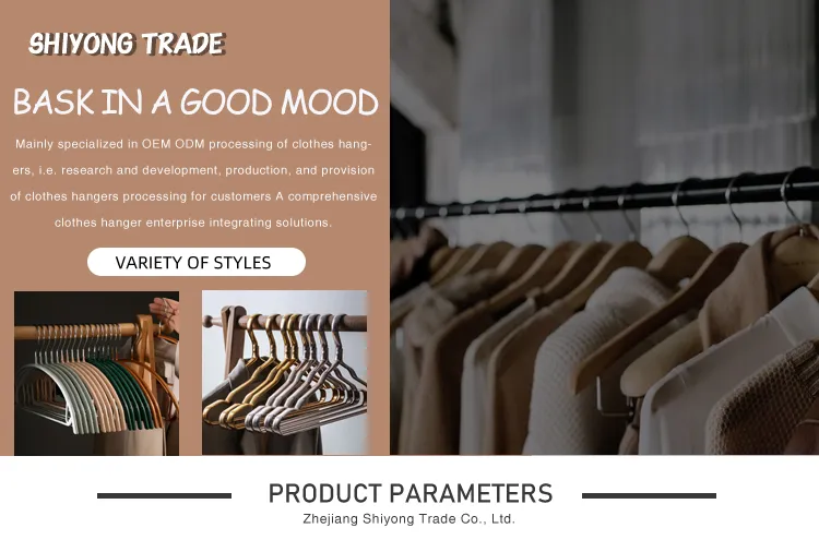 Multifunctional Hanger