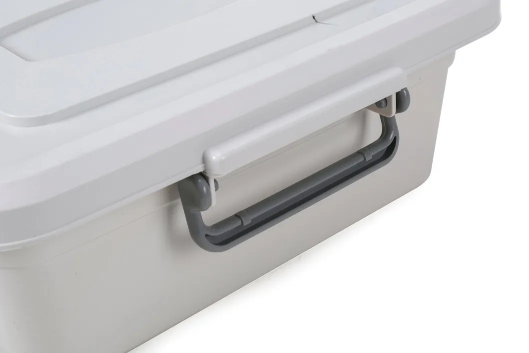 Under Bed Storage 10