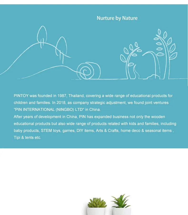 Wooden Craft Irregular Shape Wall Decoration 2