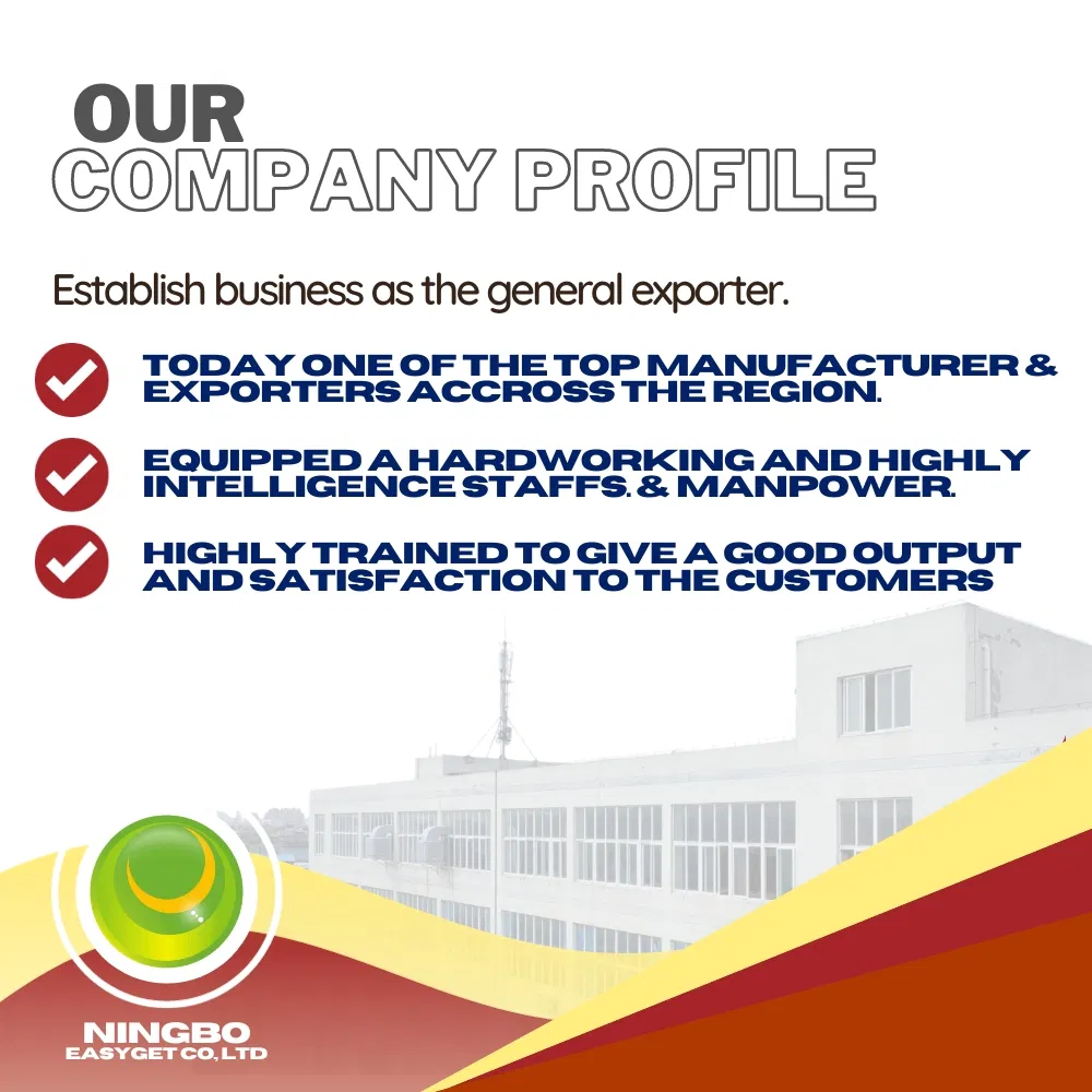 Manufacturing Facility