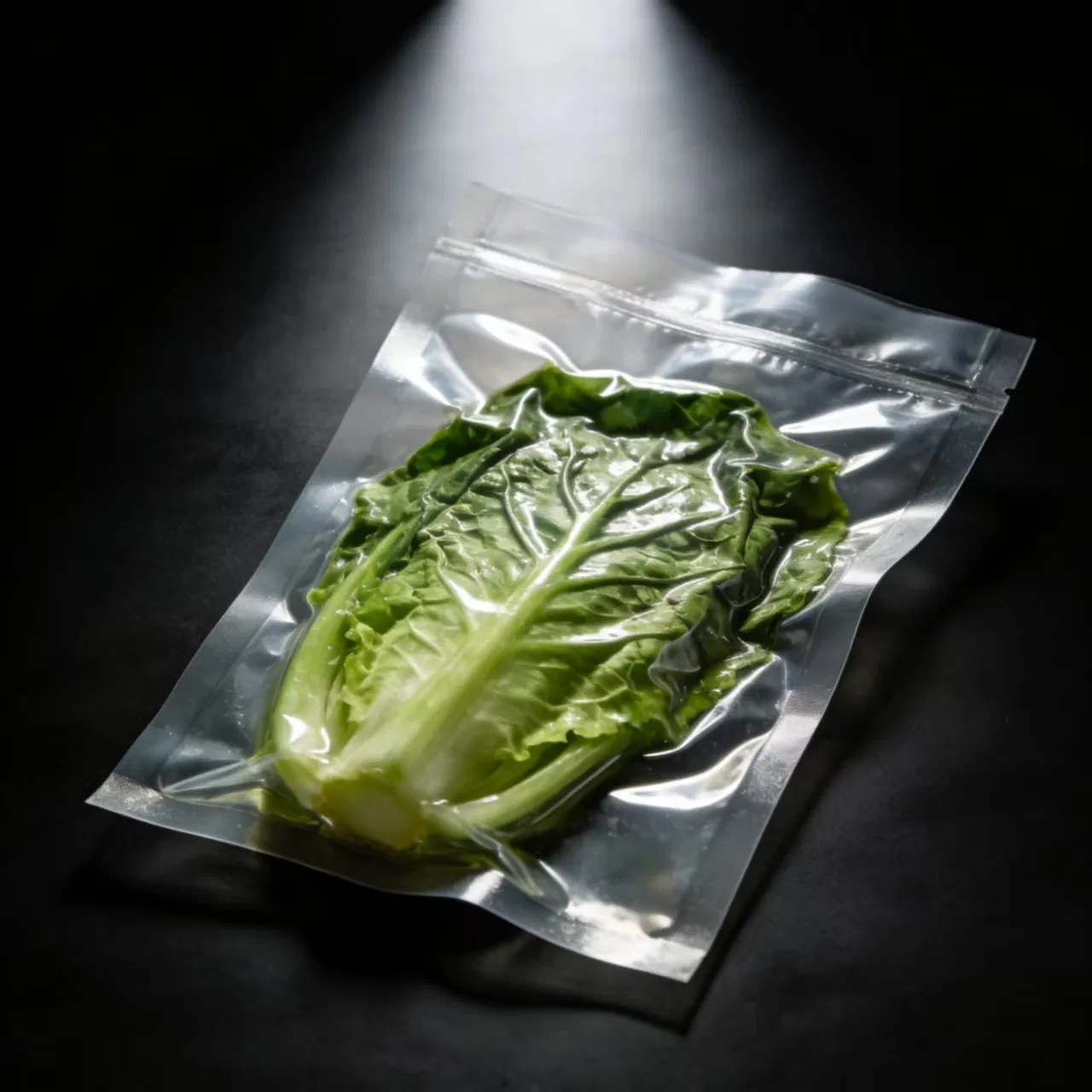 Custom Size Vacuum Packaging Bags Food Packaging Bag Food Storage Plastic Bag