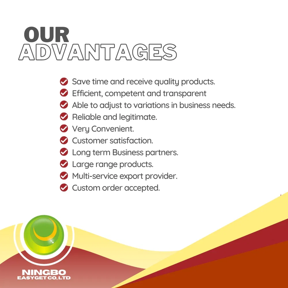 Our Competitive Advantages