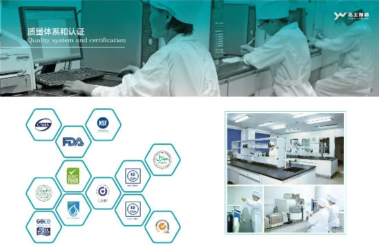 Softgel Manufacturing