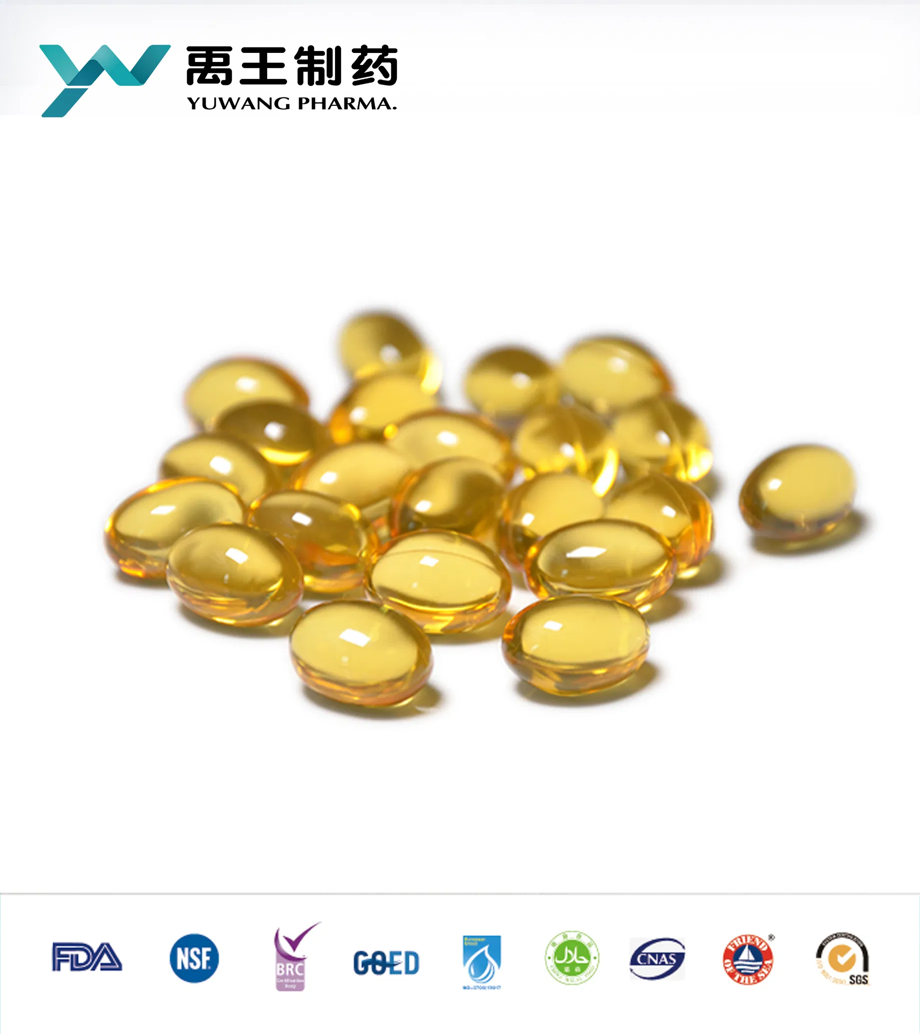 GMP Certified Omega 3 Fish Oil Supplement for Health