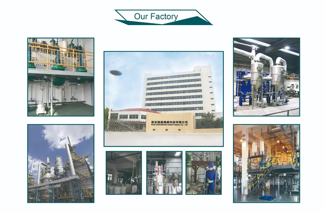 Production Process 1