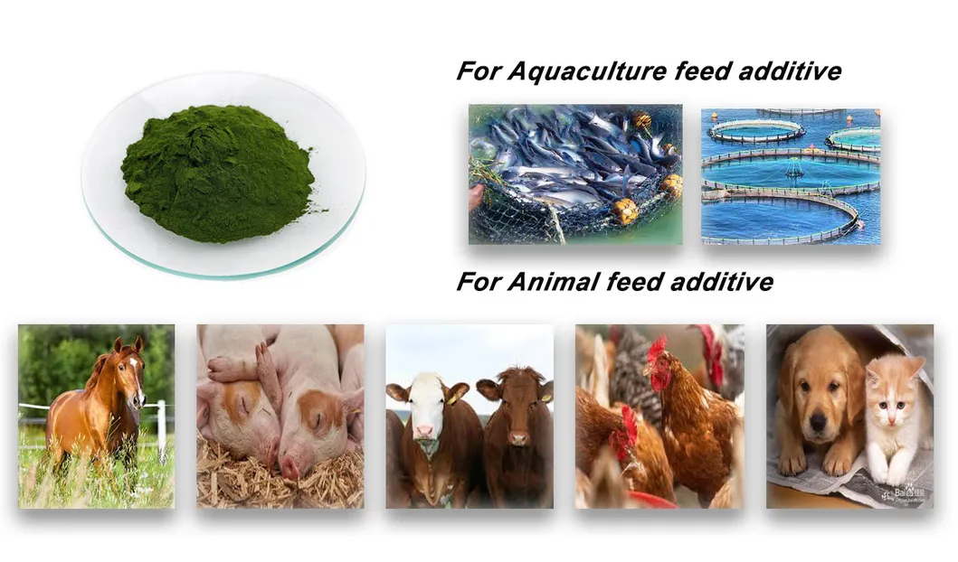 Animal Nutrition Application