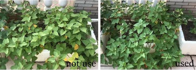 Soil Health Parameters