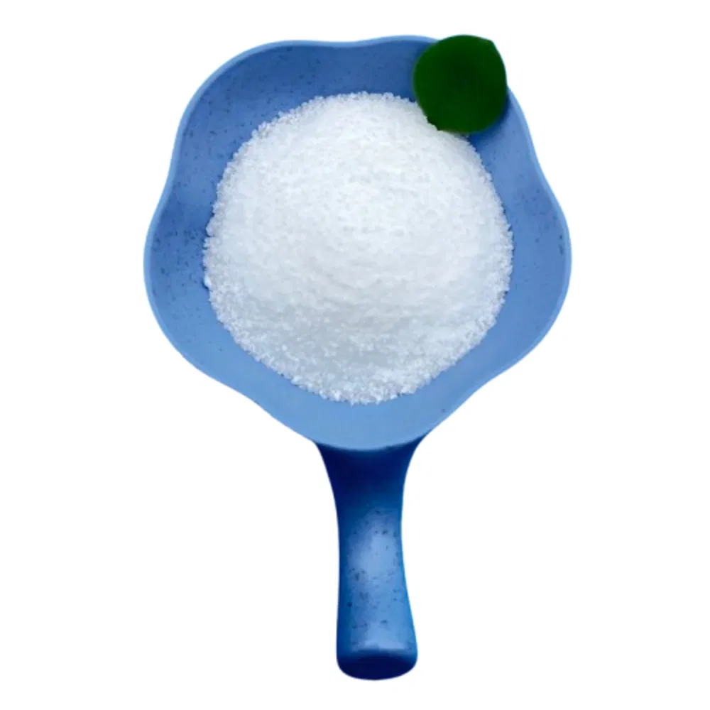 High-Quality Sodium Gluconate Powder for Organic Food Applications