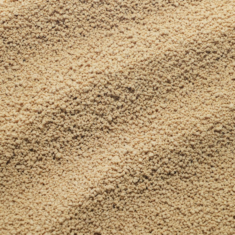 Sustainable Plant-Based Protein Source: Lysine Residue