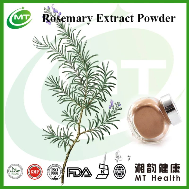 Health Supplements Rosemary Rosmarinic Acid Cosmetics Grade Rosemary Extract Powder