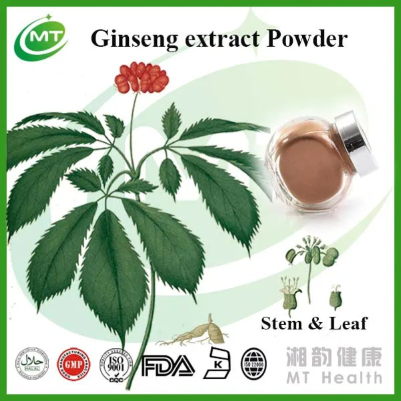 Natural Supplement Panax Ginseng Root Extract Powder Herbal Leaf Stem Extract
