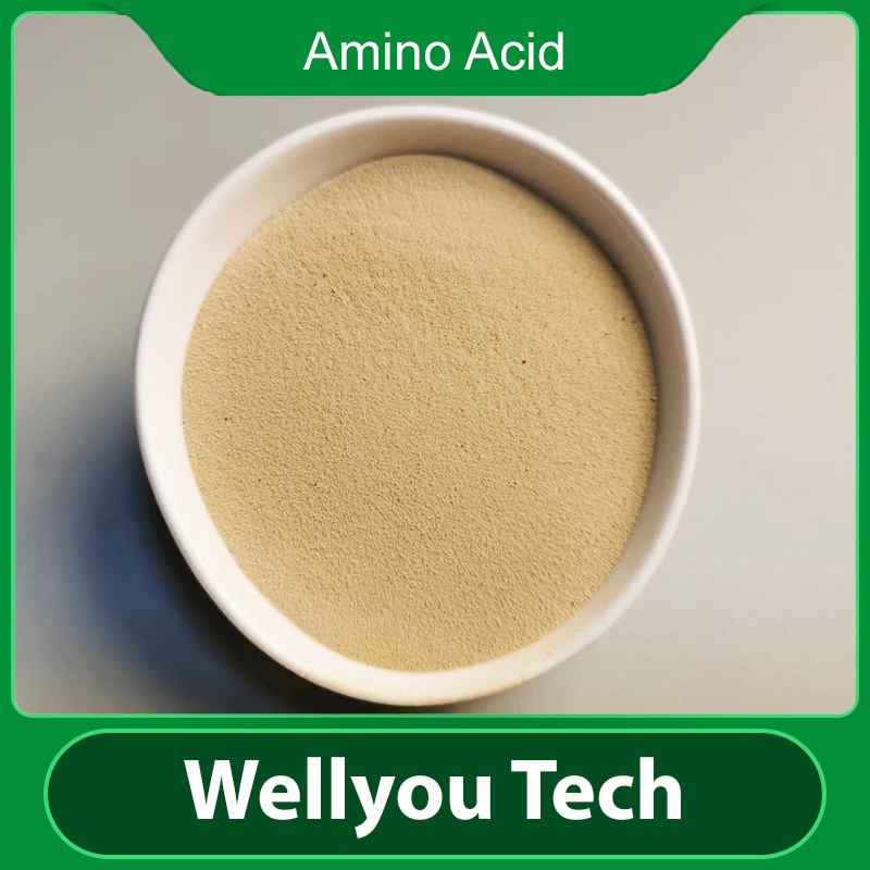 Plant-Based Amino Acid Fertilizer Promote Growth &amp; Yield Improvement