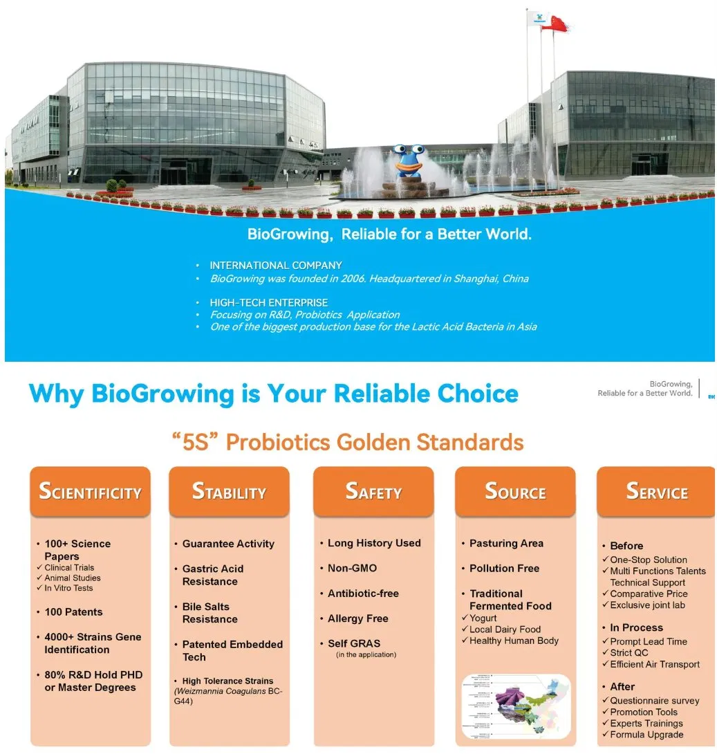 Guidelines Support Probiotic Strains Genetic Identification Functional Food Gut Health