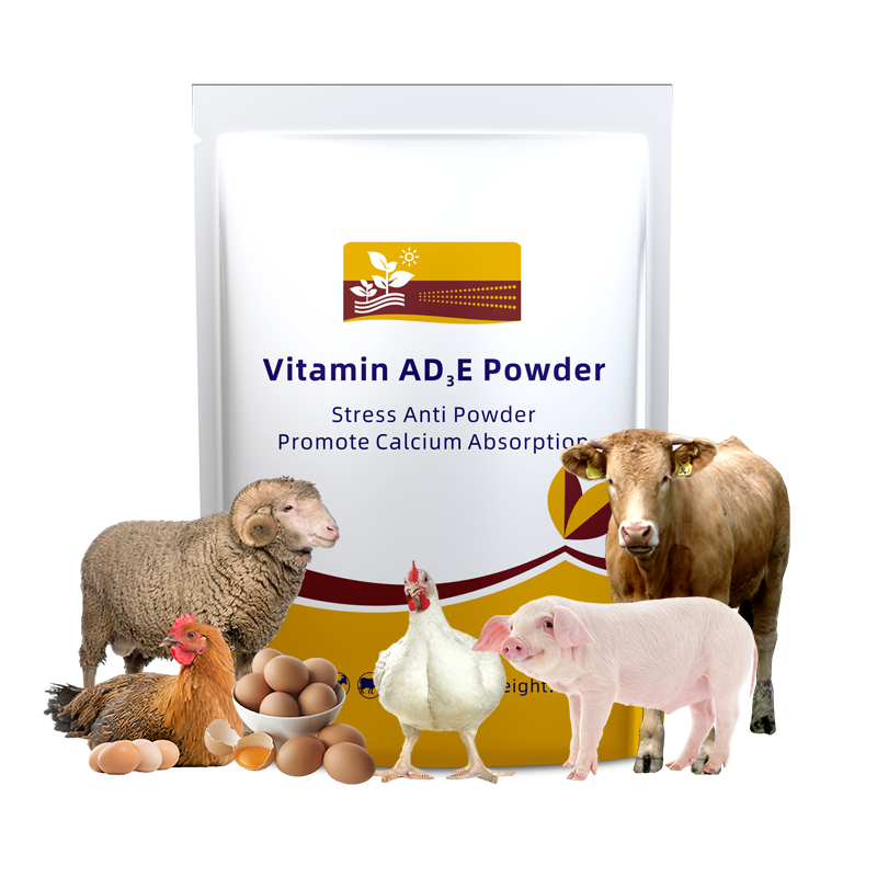 Premix Vitamin Ad3e Water Soluble Powder for Poultry and Livestock Daily Use