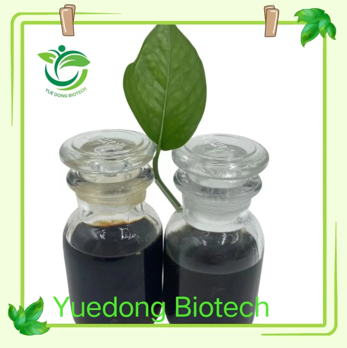 Phytase Enzyme Application