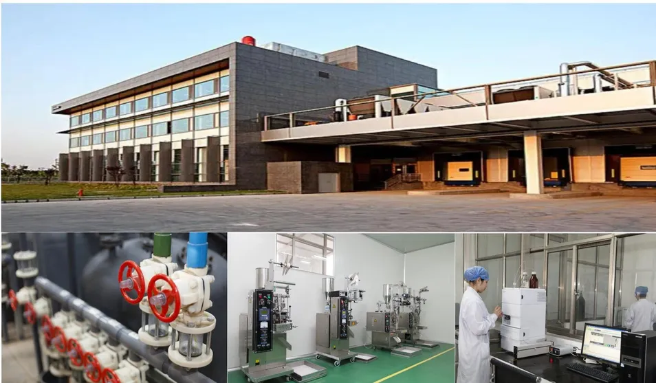 Manufacturing Facility