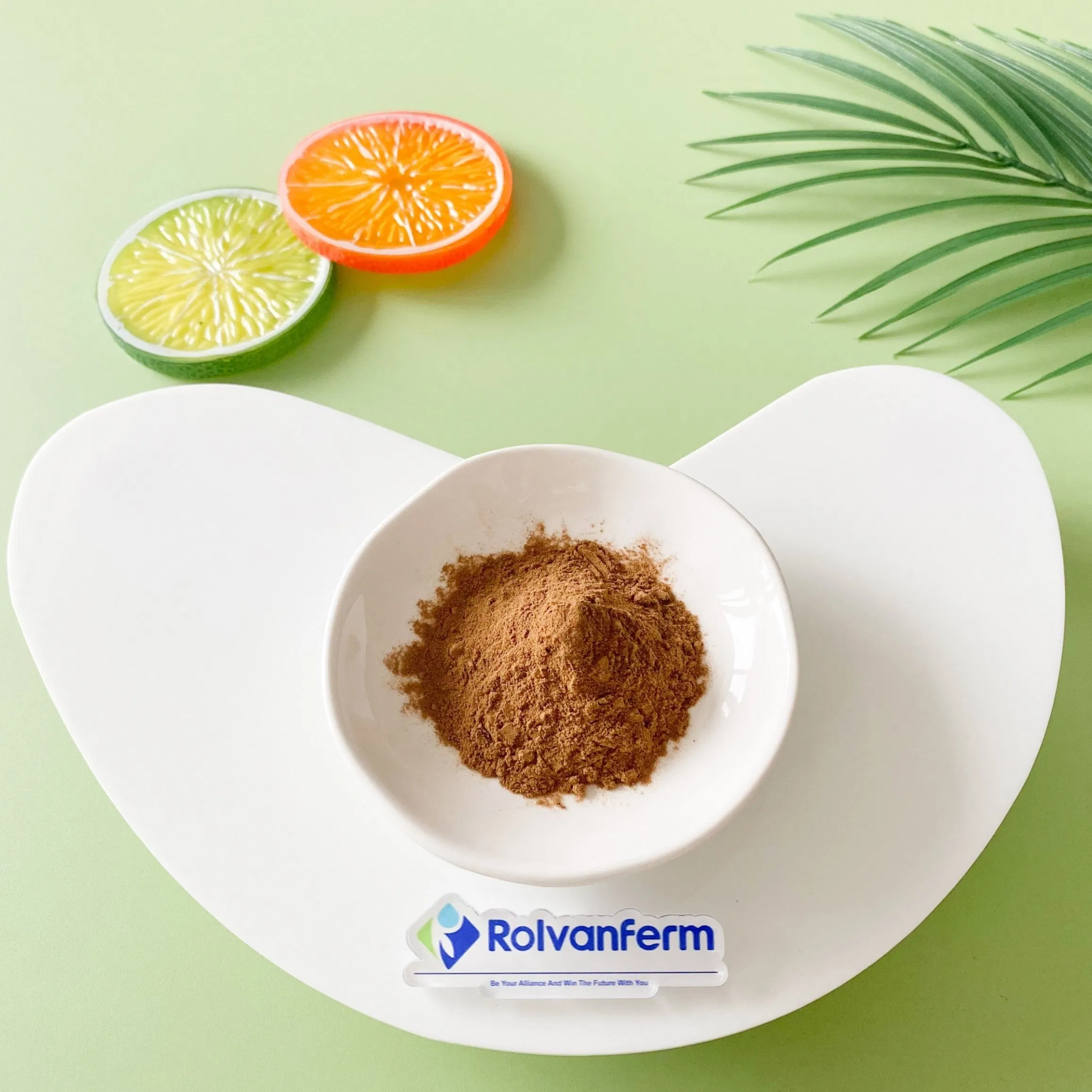 High-Bioavailability Liposome Silymarin for Antioxidant Support and Functional Nutrition Applications