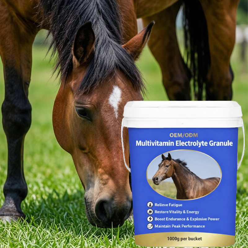 All-Natural Electrolyte and Multivitamin Blend for Horse Performance