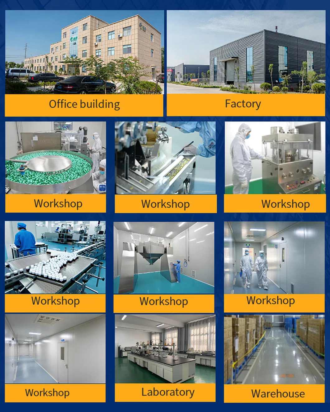 BCAA Supplement Detail 2