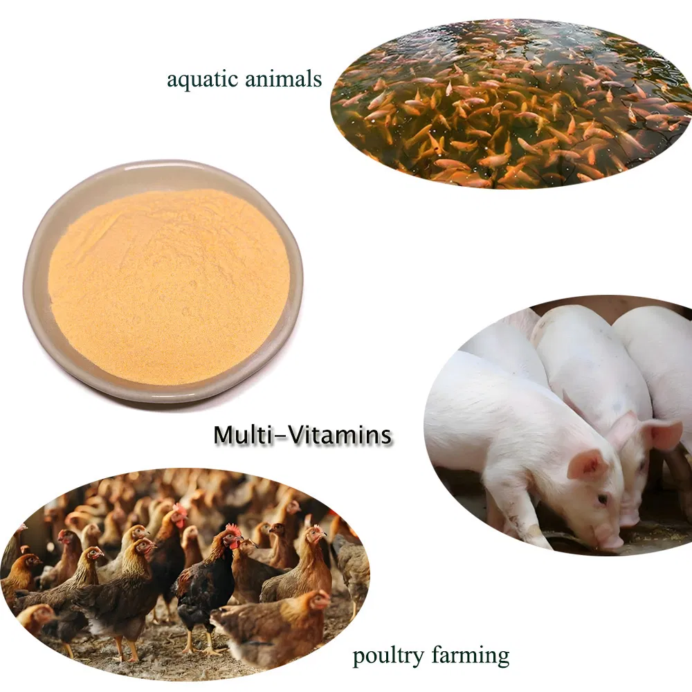 Premium Multivitamin Blend for Chickens and Ducks Higher Egg Laying Rates
