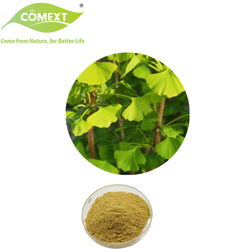 Comext Manufacturer Nutraceutical Plant Herbal Extract Powder Ginkgo Biloba Leaf Extract