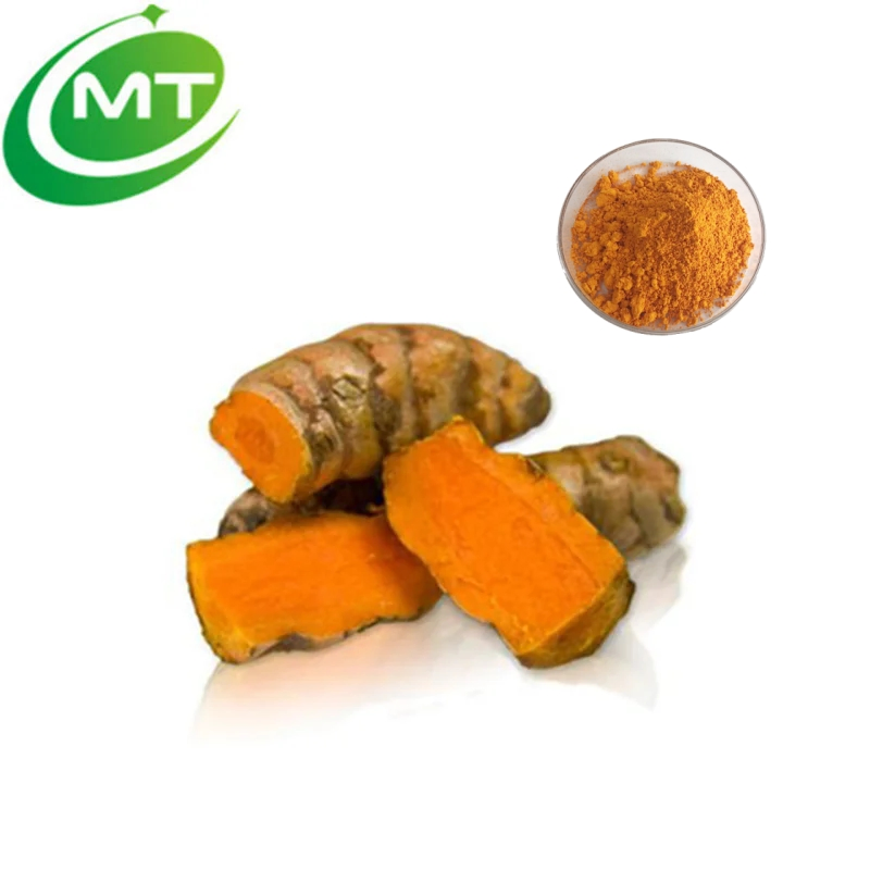 Food Grade Supplement Curcumin Turmeric Root Extract Powder Natural Curcuma Longa Extract