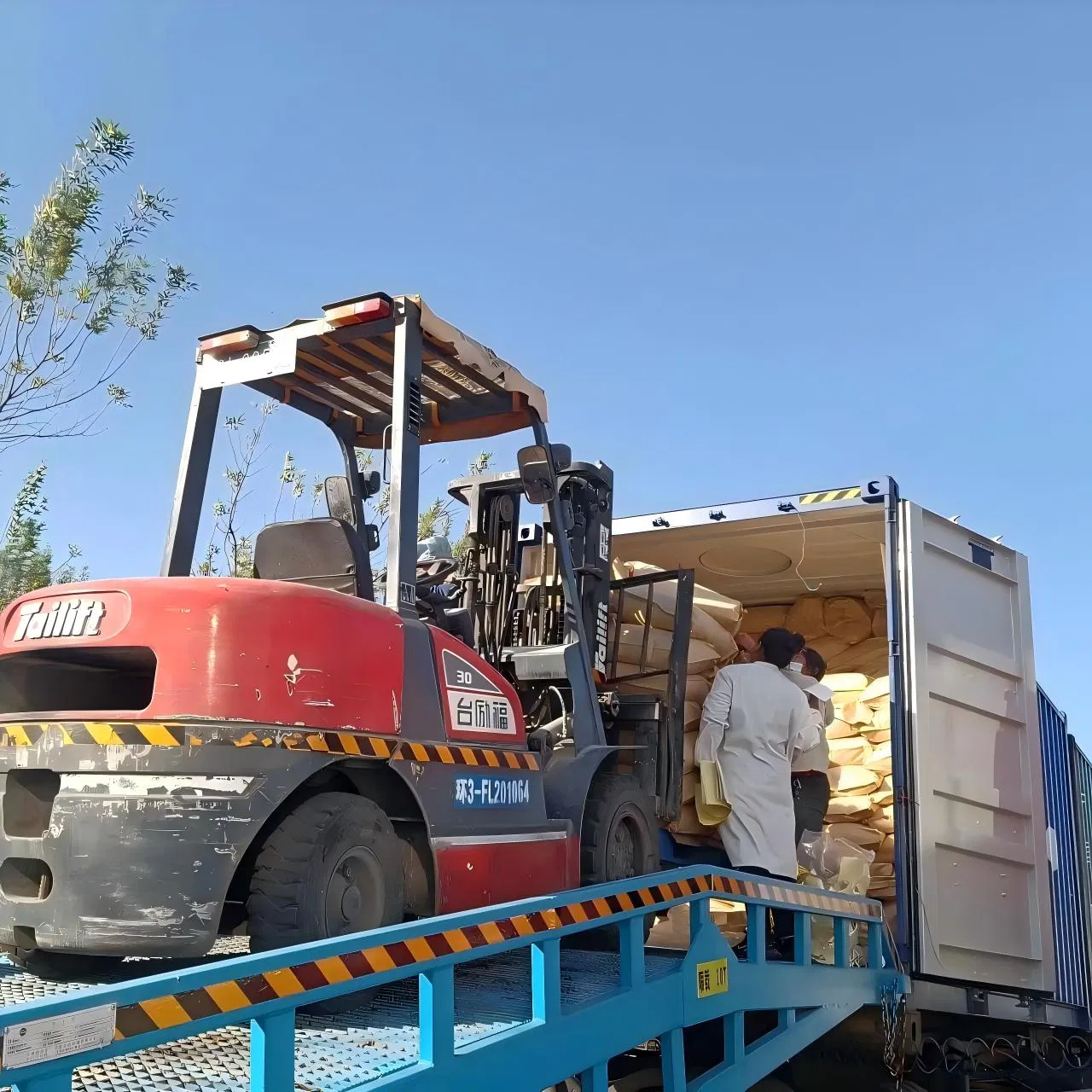 Rutin Extract for Functional Foods and Natural Preservative