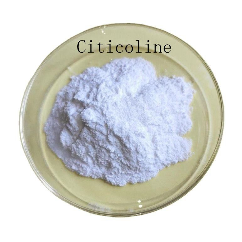 Nootropic Supplement 99% Purity Powder CAS 987-78-0 Citicoline