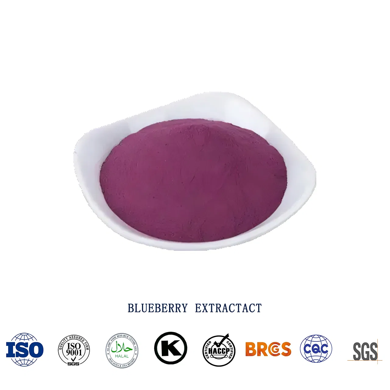 Blueberry Extract for Powerful Antioxidant Support