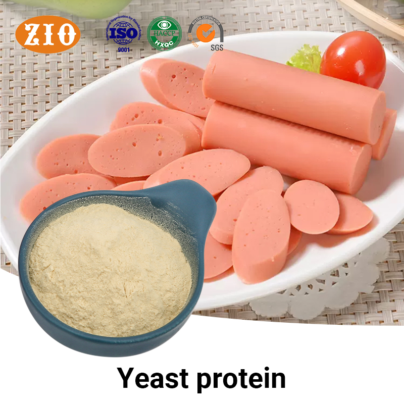 Yeast Proteinfood Grade Sports Nutrition Yeast Protein 75% 80% Yeast Protein Powder