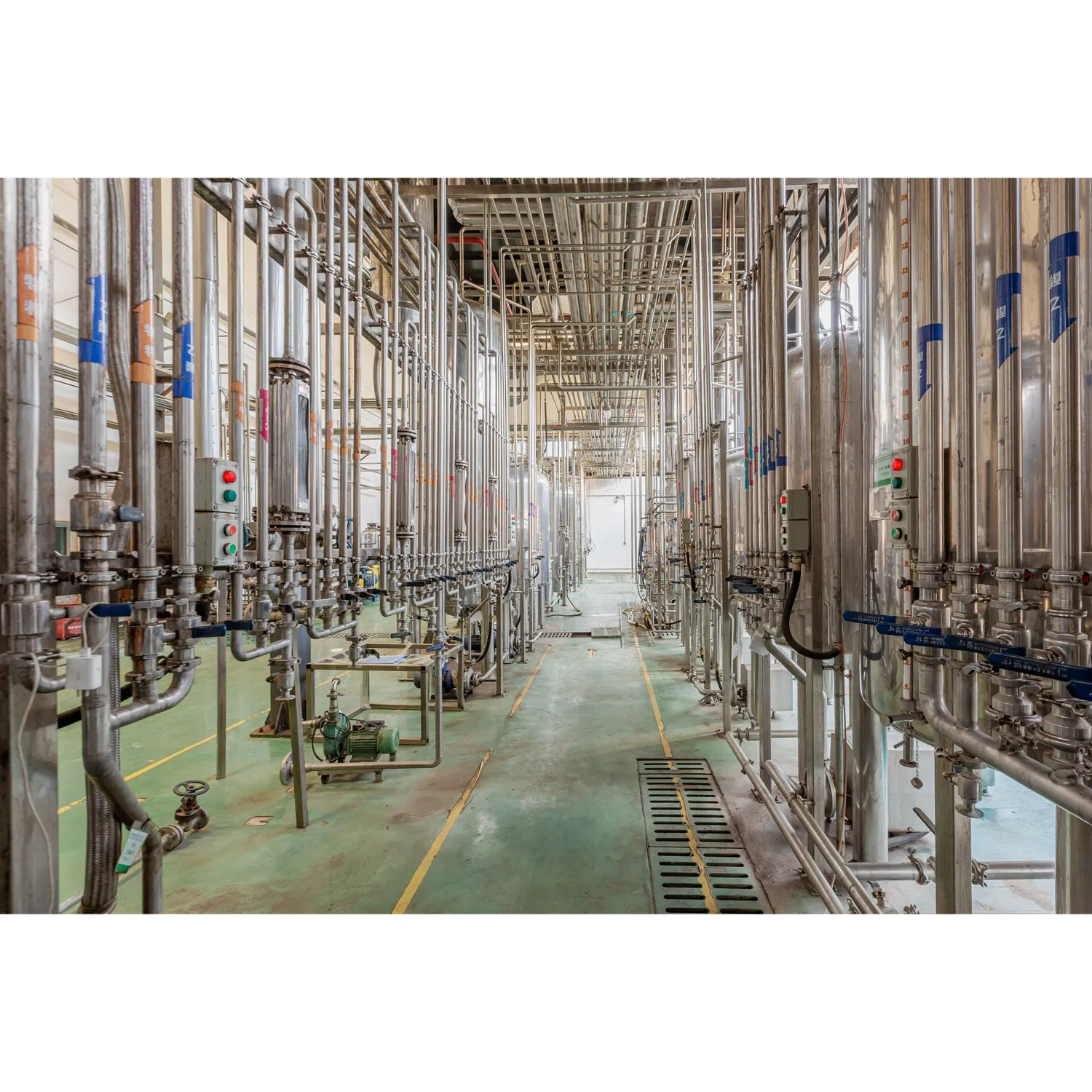 Bovine Colostrum Powder 30% Igg High-Quality Immune Protein Supplement