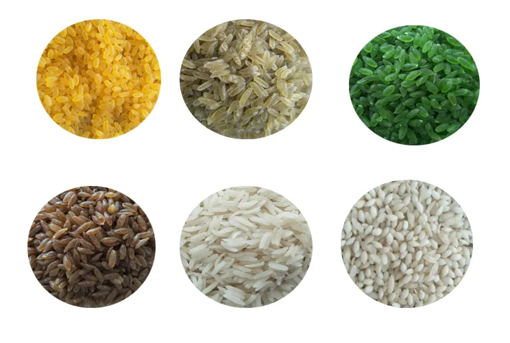 Rice Samples