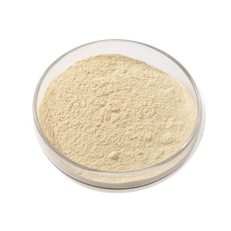 Easy-Mix Fava Bean Powder for Muscle Support and Sports Nutrition