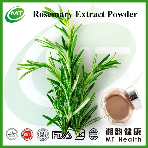 Rosemary Extract Detail 2