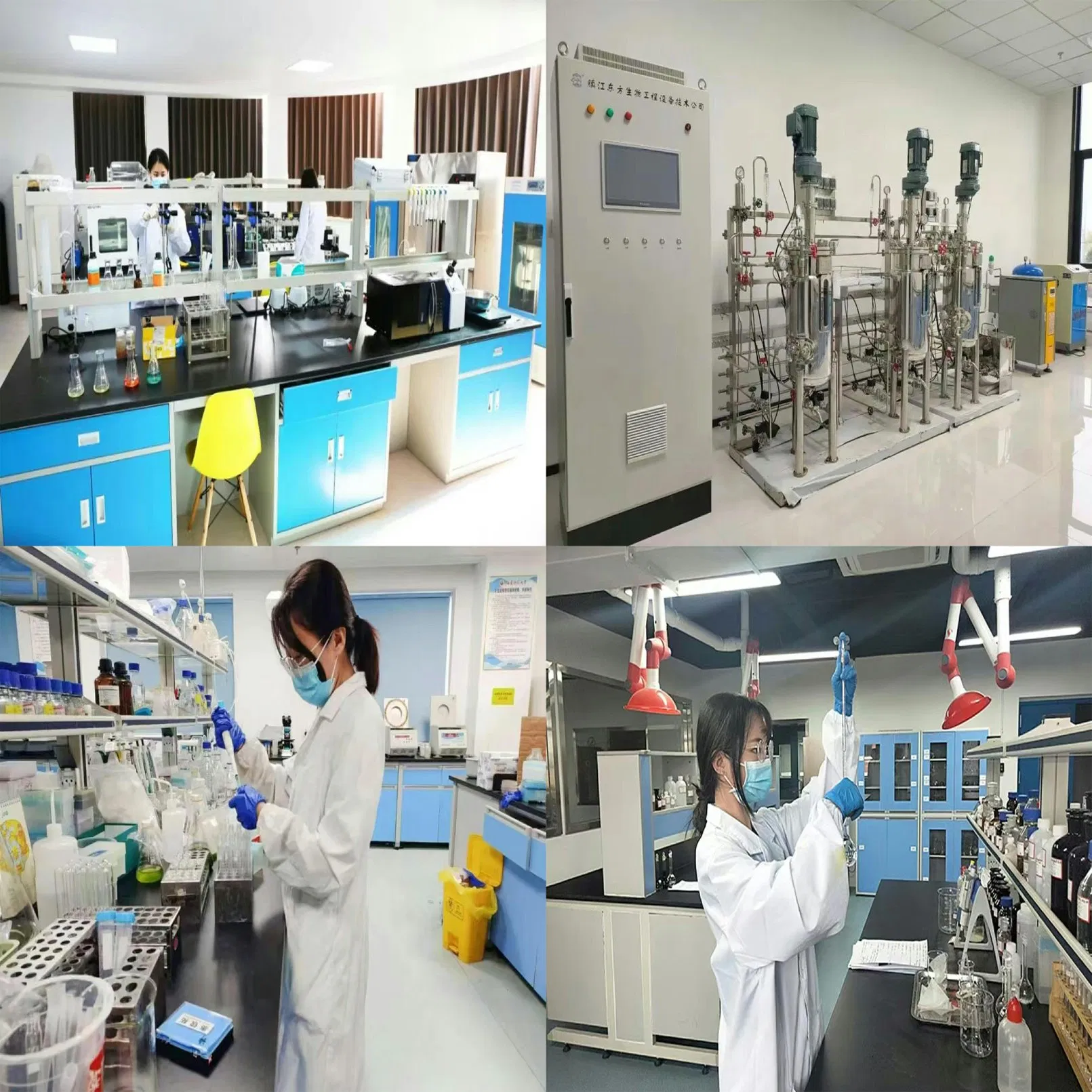 Veterinary Drug Supplements Poultry Vitamins Egg Booster Vitamin Premix Water-Soluble Powder