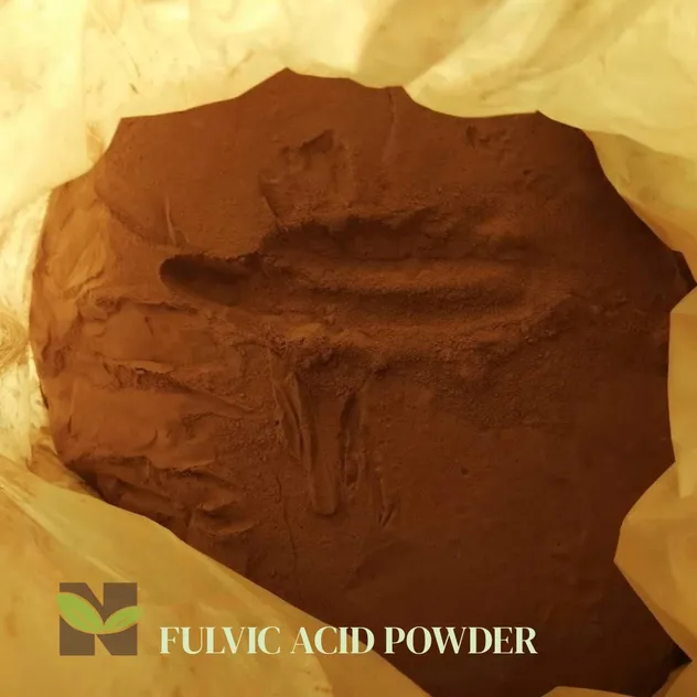 Fulvic Acid Detail 1