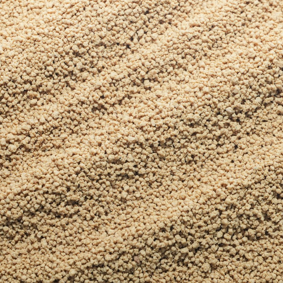 Sustainable Plant-Based Protein Source: Lysine Residue