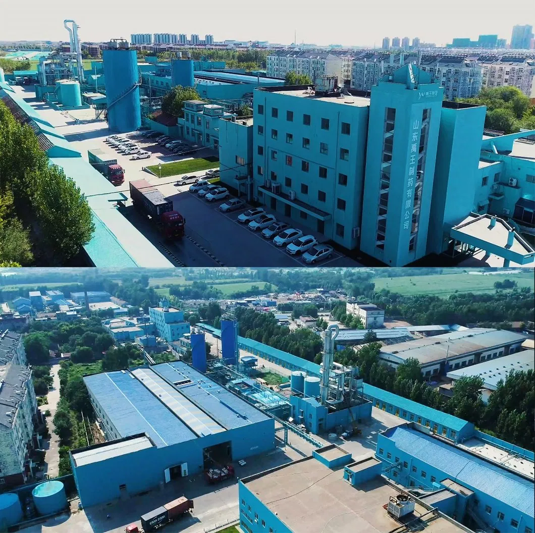 Blood Regulation Fish Oil Softgel Food Supplement