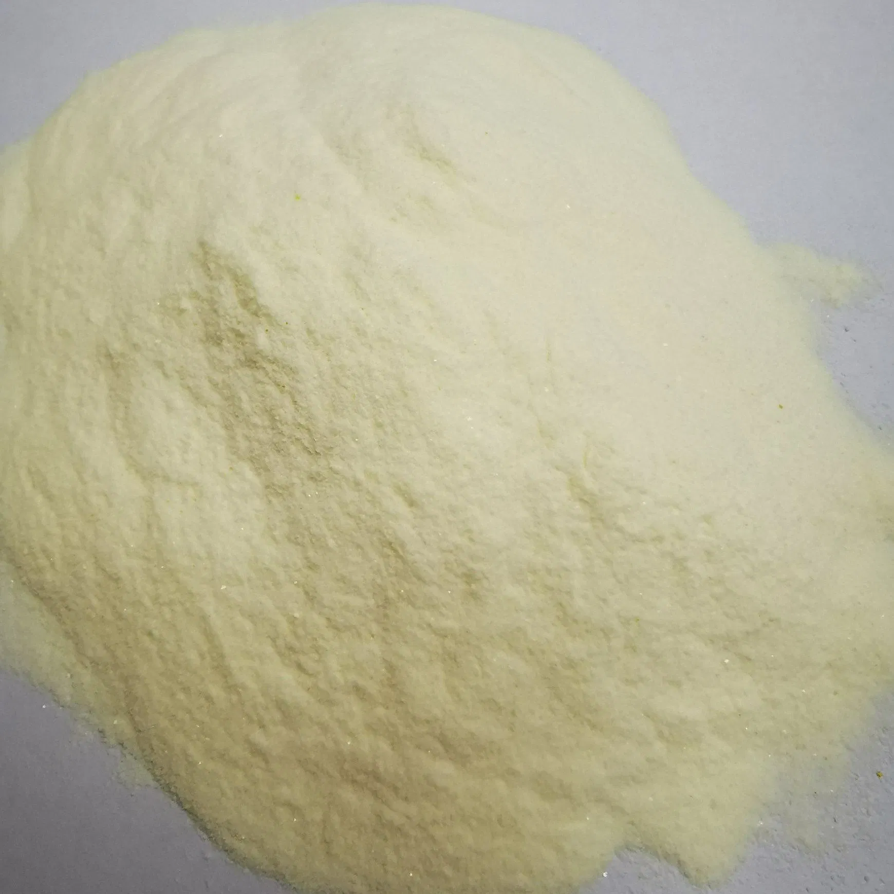 Premium Whey Protein Blend for Optimal Sports Performance