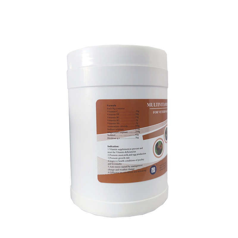 Complete Water Soluble Vitamins for Cats and Dogs