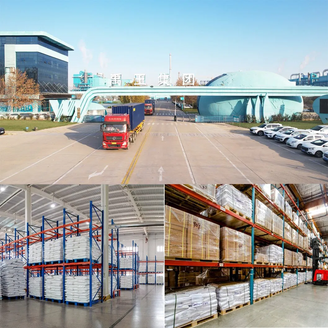 Food-Grade Soy Protein Concentrate High-Protein Plant-Based Raw Material Boosts Nutritional Density and Taste of Beverages Vegan Beverage Ingredient