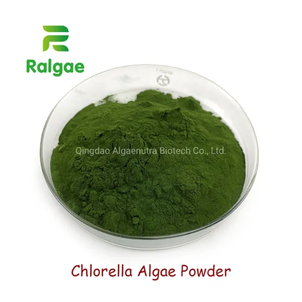 Chlorella Algae 4