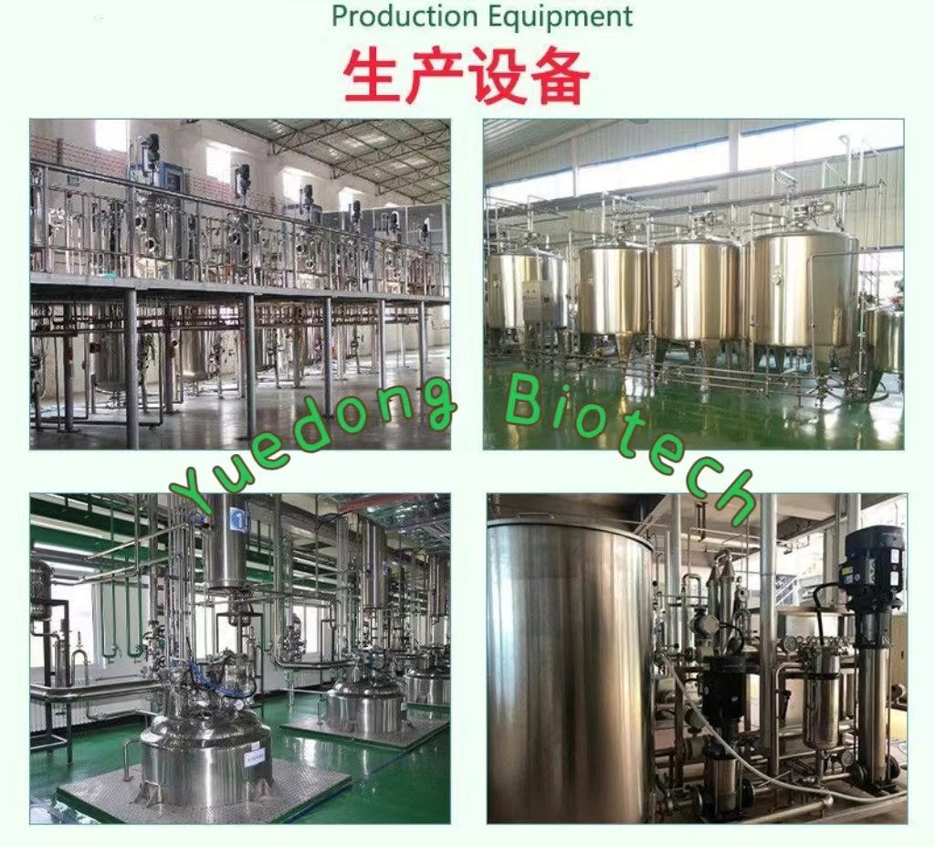 Food Grade Thermostable Phytase Enzyme Powder for Food Feed Industry