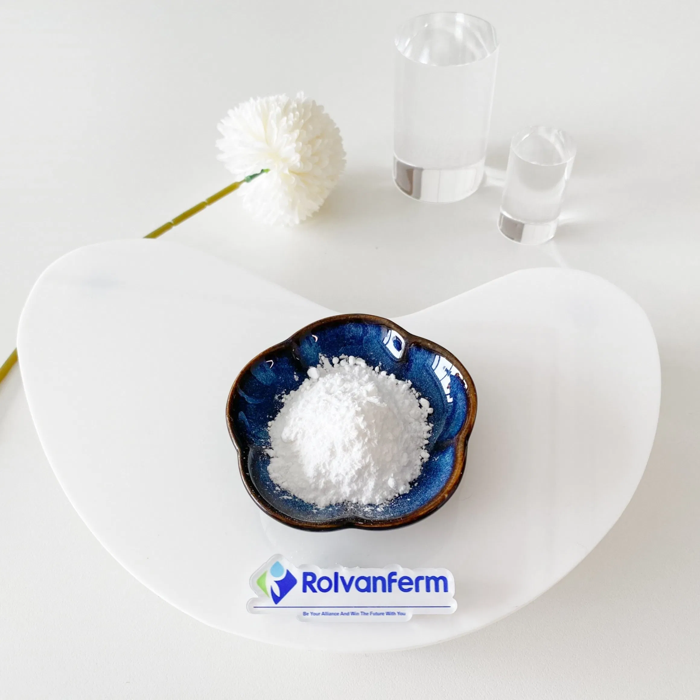 High-Bioavailability Liposome Vitamin C for Immune Support and Functional Nutrition Applications