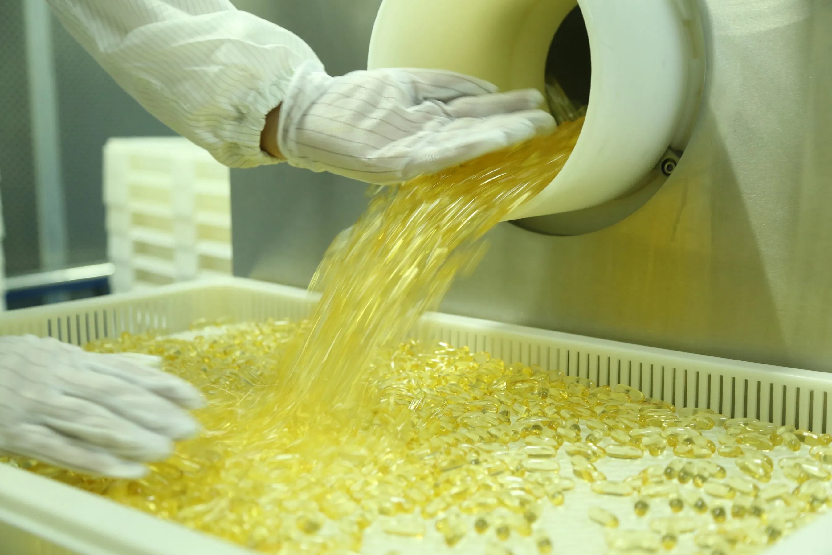 OEM Omega 3 Supplements for Brain Health