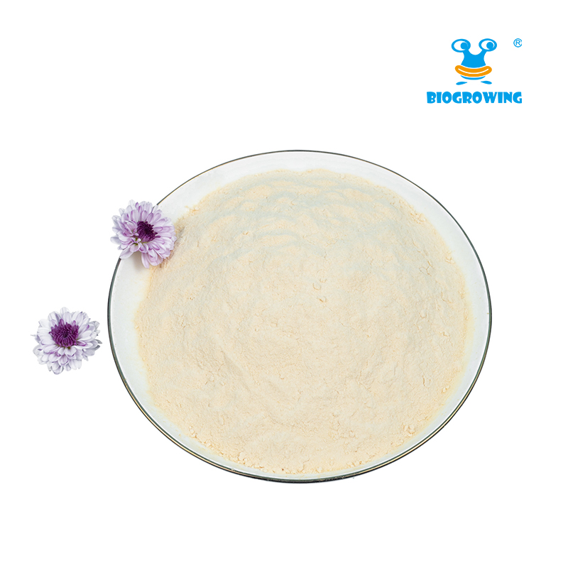 Guidelines Support Probiotic Strains Genetic Identification Functional Food Gut Health