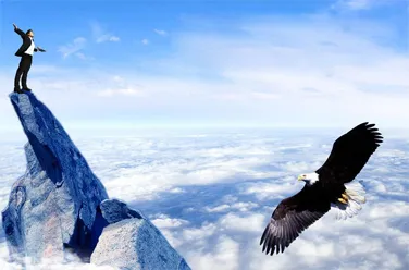 Resource Integration