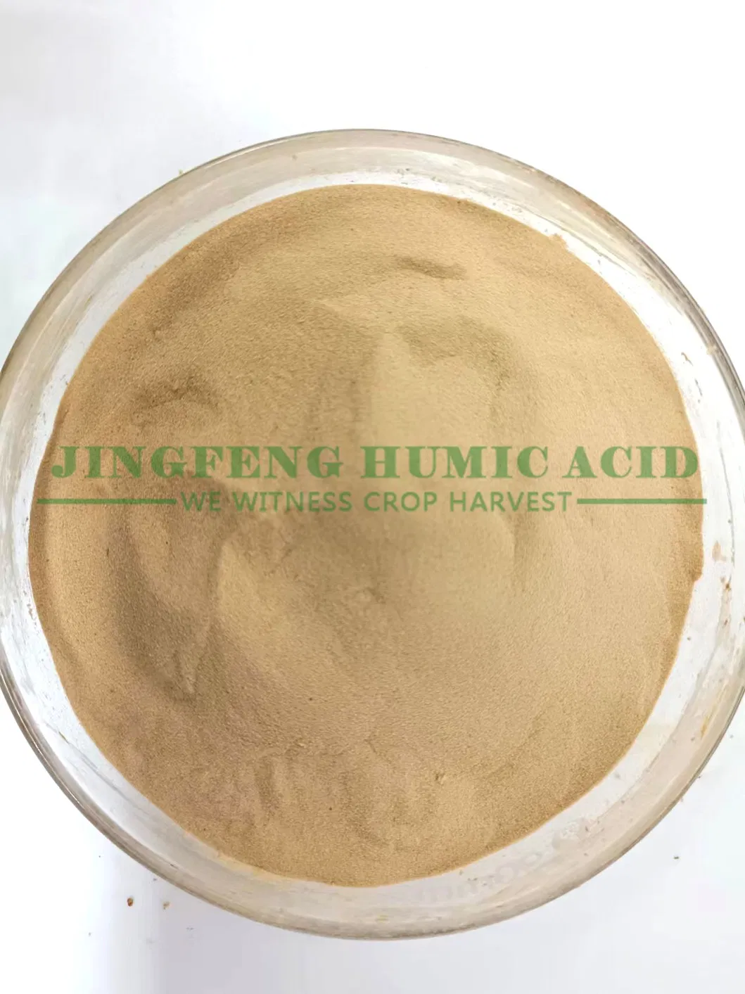 Yellow Powder Details